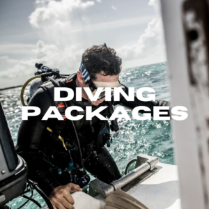 Diving Equipment Packages
